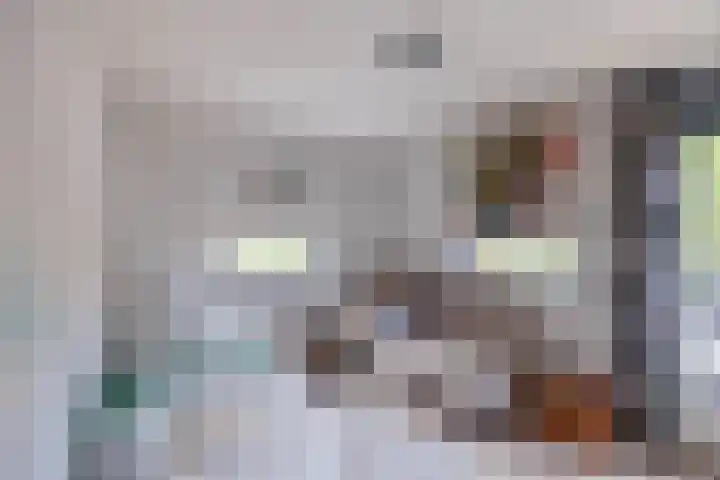 Wilgenpad 1 Groningen thumbnail 23