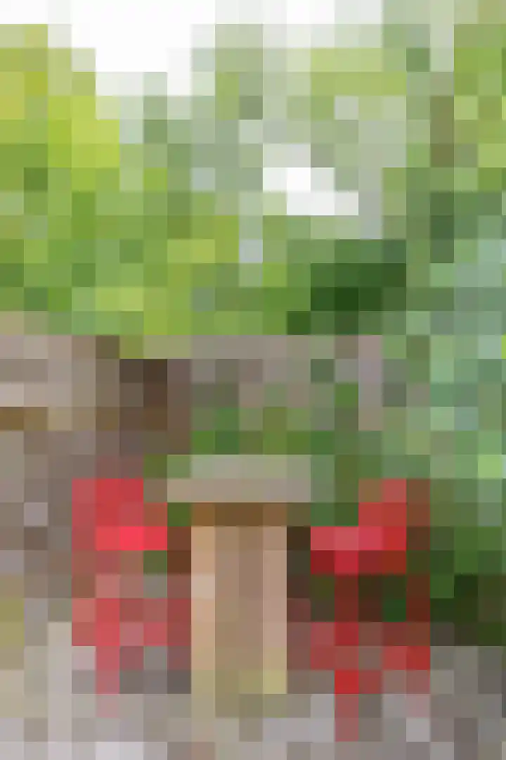 Wilgenpad 1 Groningen thumbnail 33