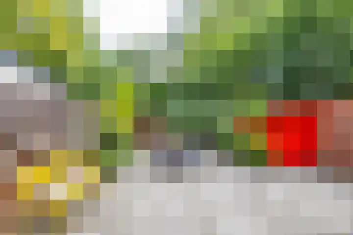 Wilgenpad 1 Groningen thumbnail 34