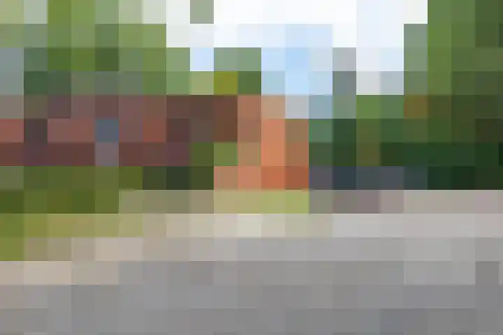 Wilgenpad 1 Groningen thumbnail 35