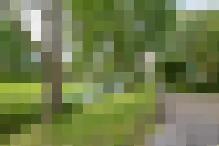 Wilgenpad 1 Groningen thumbnail 36