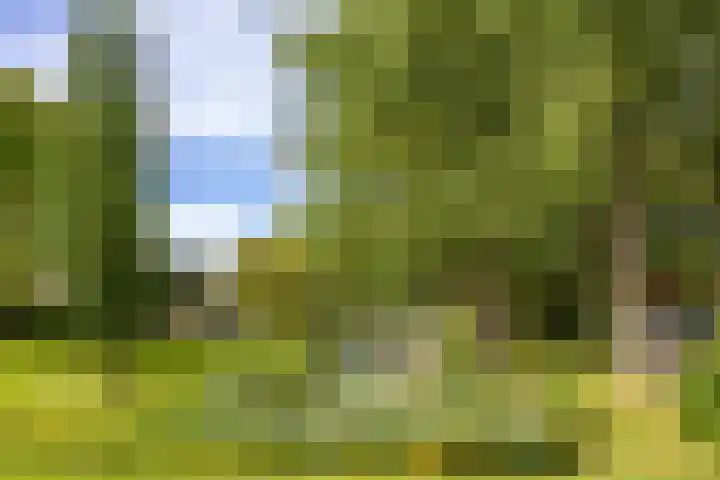 Wilgenpad 1 Groningen thumbnail 37