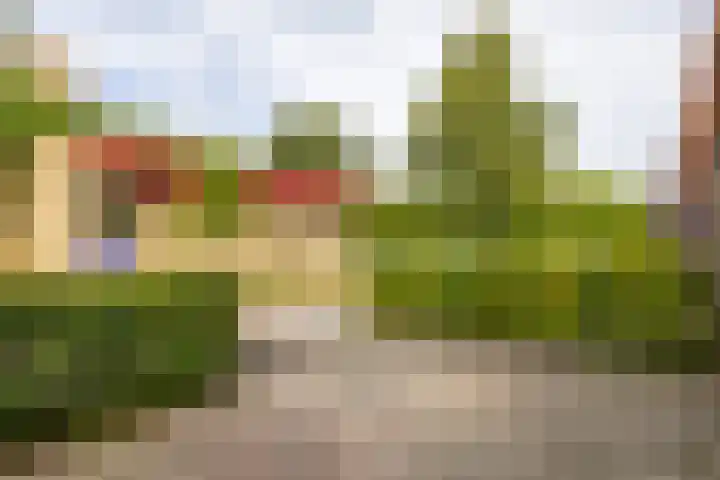Wilgenpad 1 Groningen thumbnail 38
