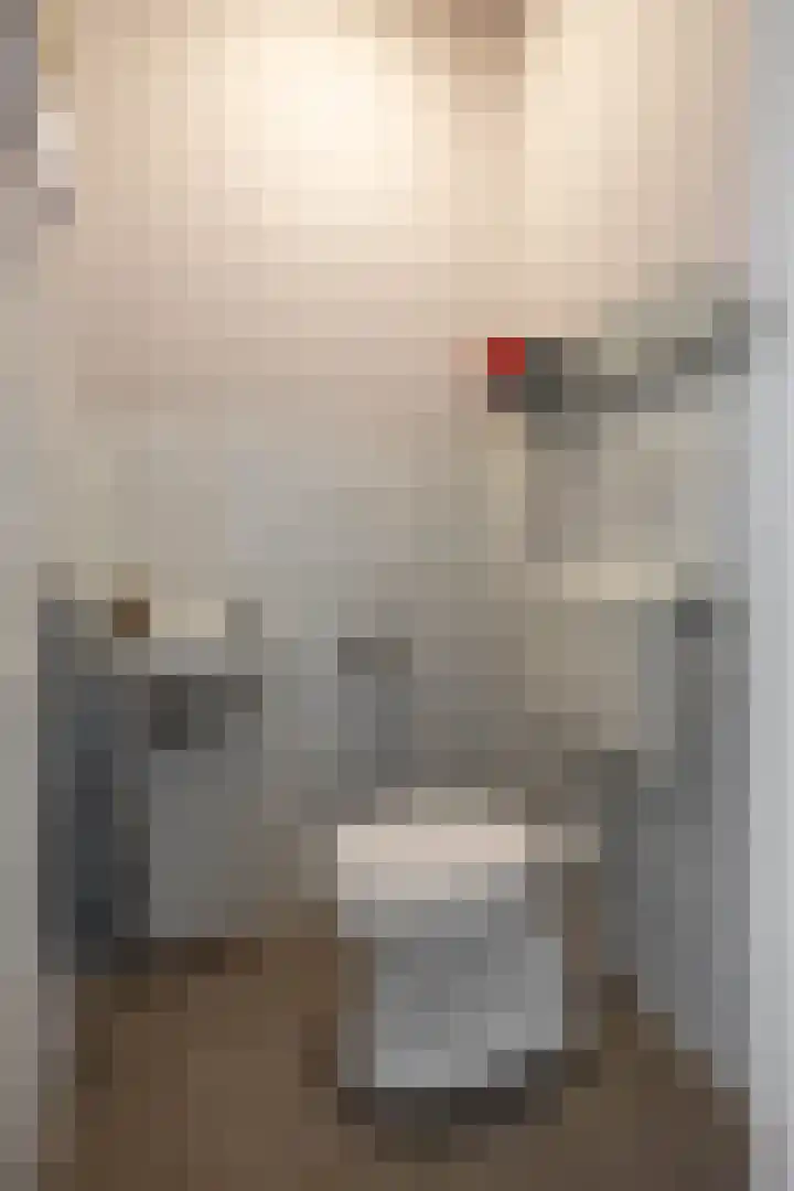 Wilgenpad 1 Groningen thumbnail 7