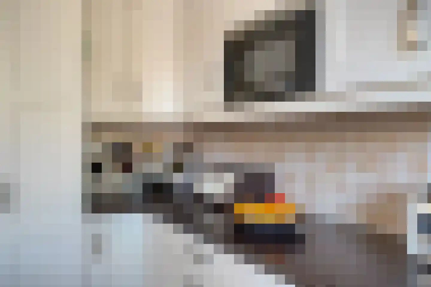 Wilgenpad 10 Kessel thumbnail 14