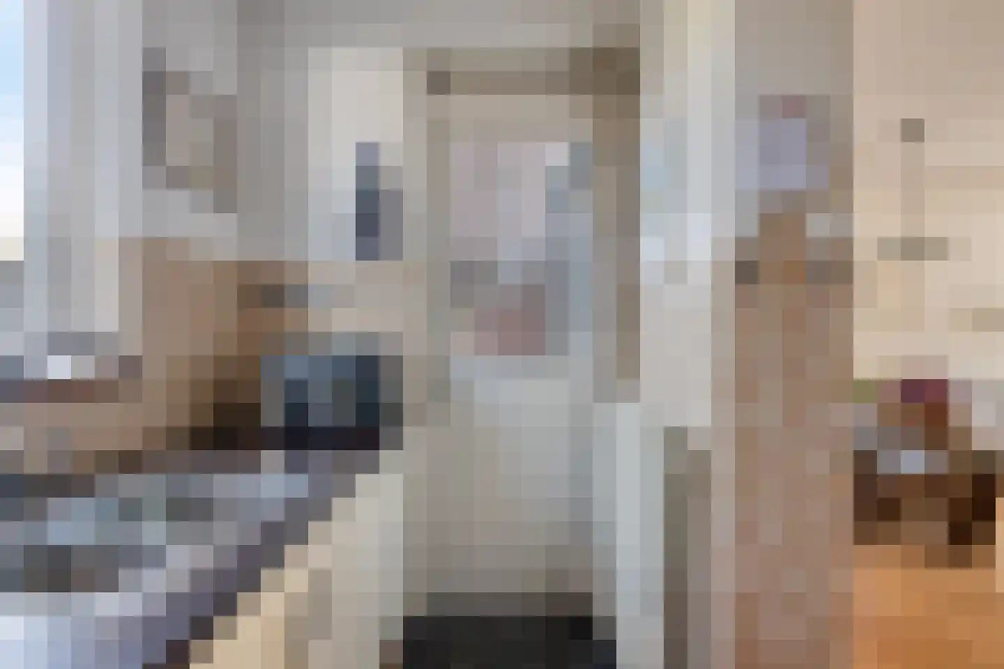 Wilgenpad 10 Kessel thumbnail 15