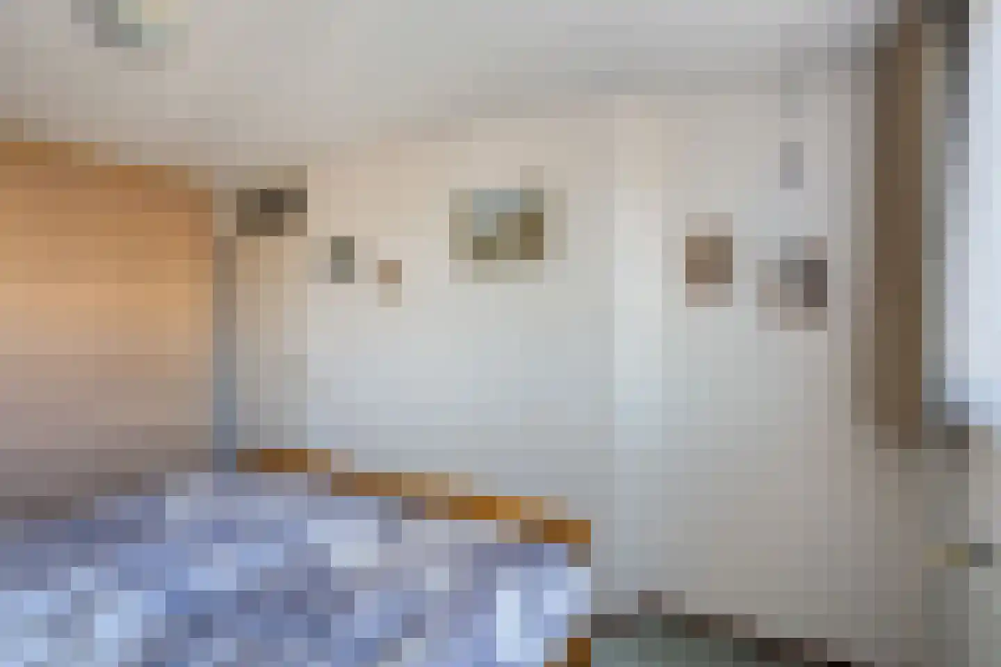 Wilgenpad 10 Kessel thumbnail 18