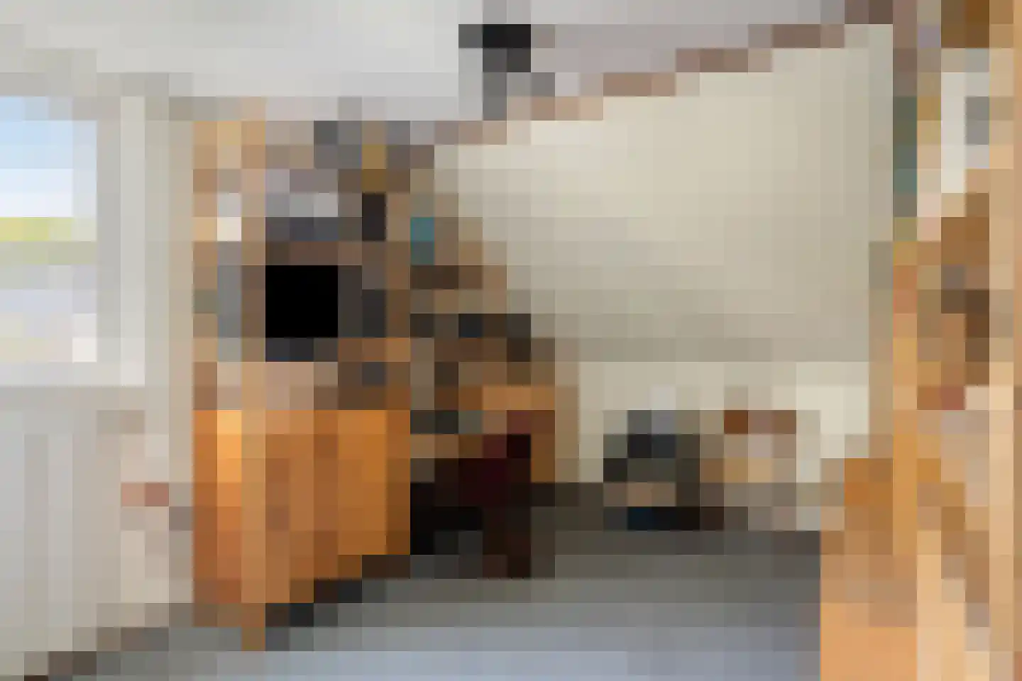Wilgenpad 10 Kessel thumbnail 19