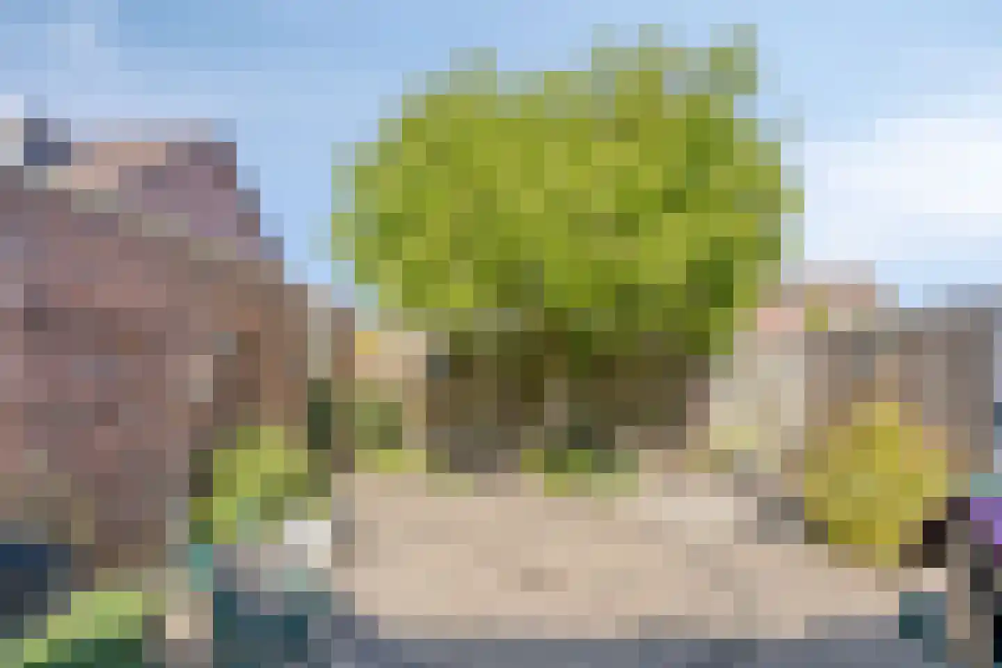 Wilgenpad 10 Kessel thumbnail 29