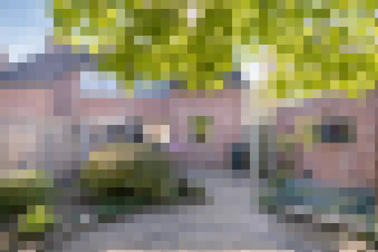 Wilgenpad 10 Kessel thumbnail 31