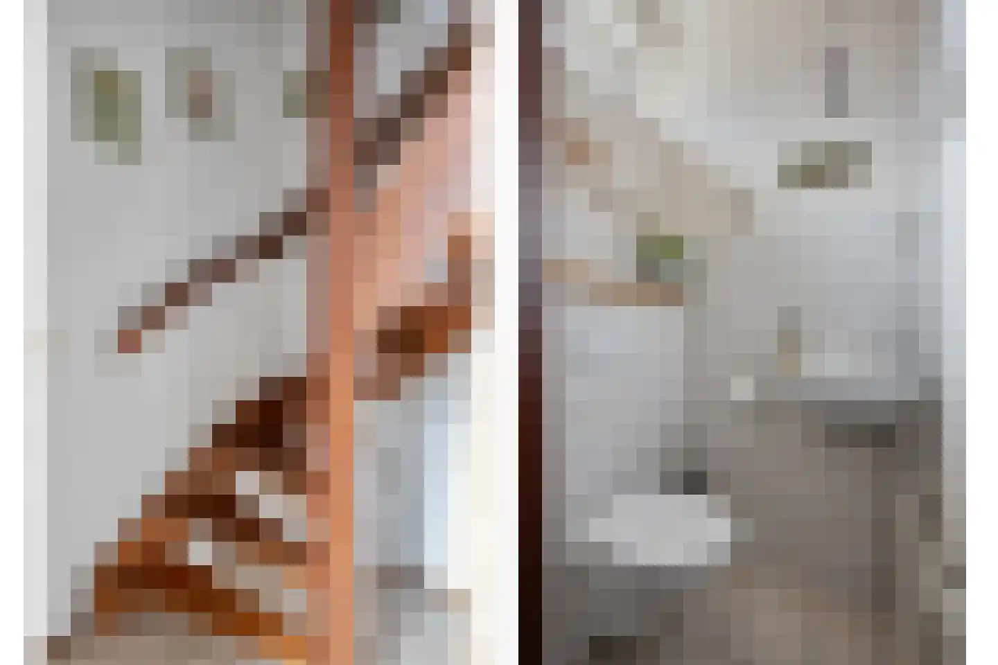 Wilgenpad 10 Kessel thumbnail 5