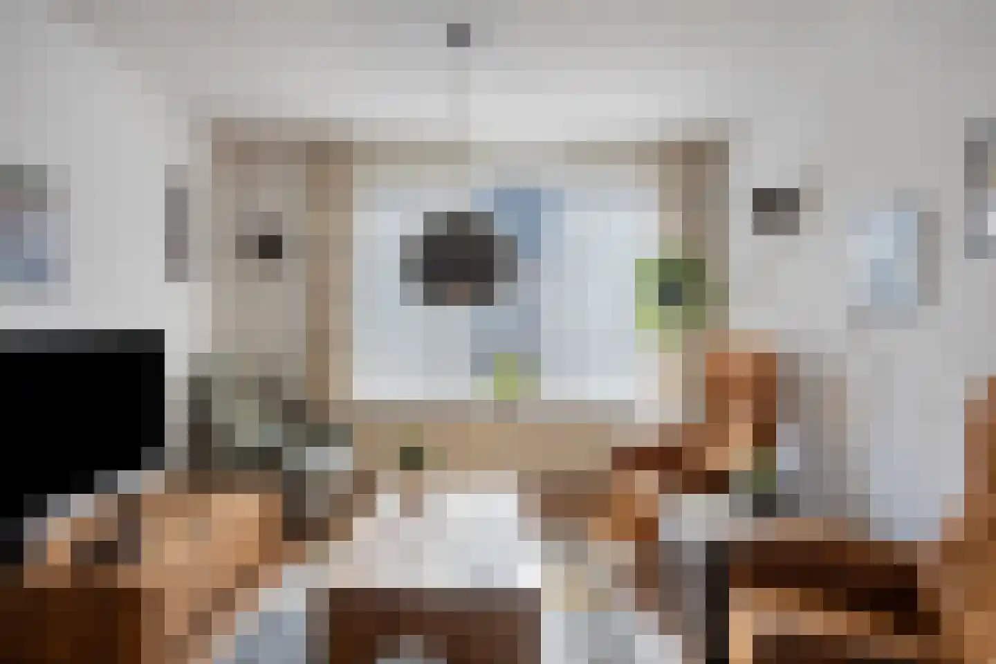 Wilgenpad 10 Kessel thumbnail 7