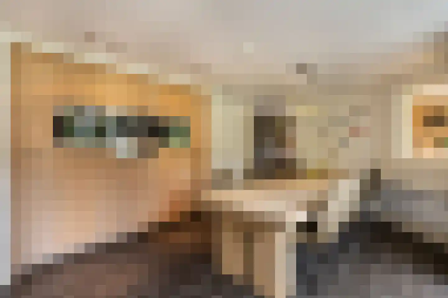 Wilgenpad 2 Den Dungen thumbnail 10