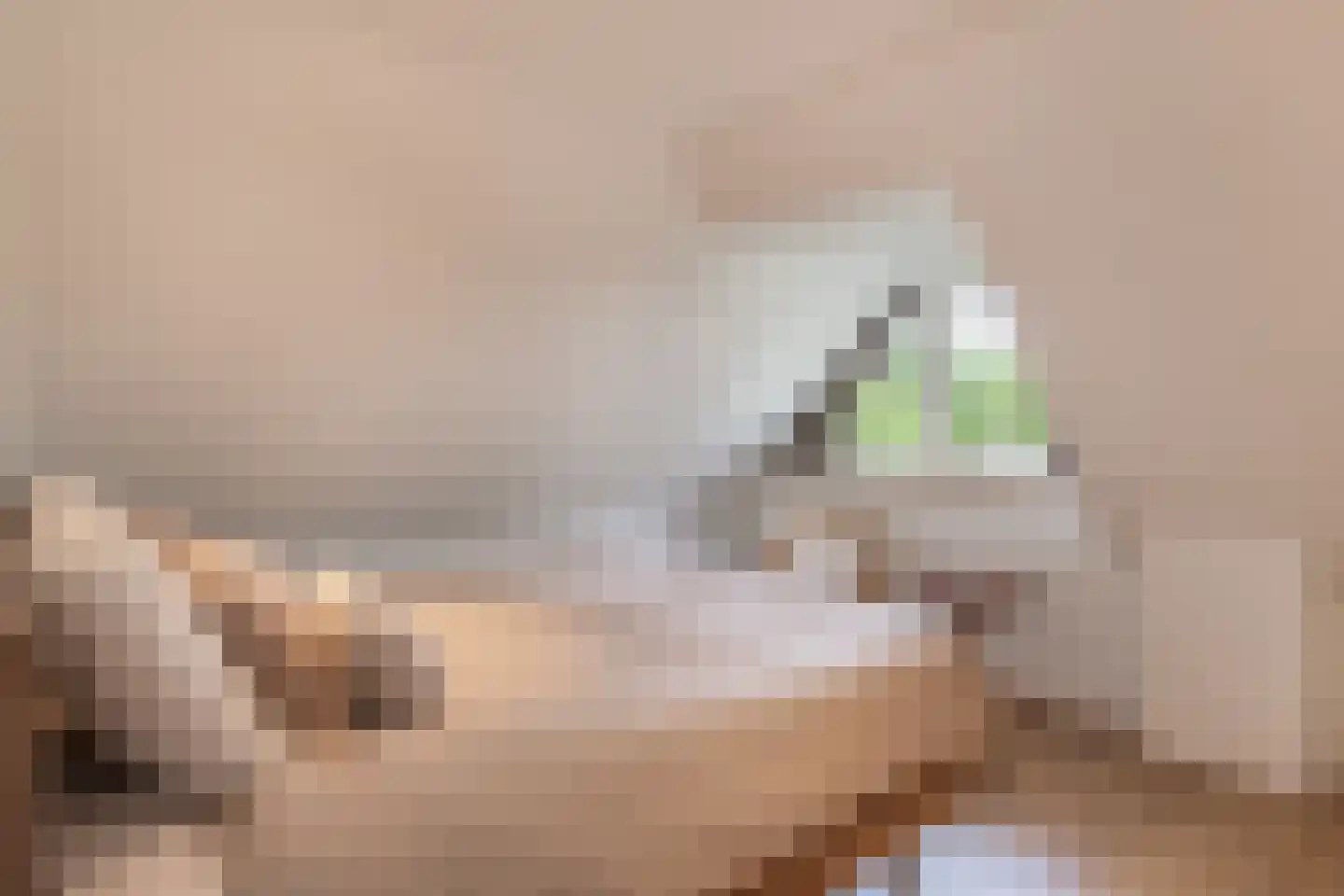 Wilgenpad 2 Den Dungen thumbnail 15