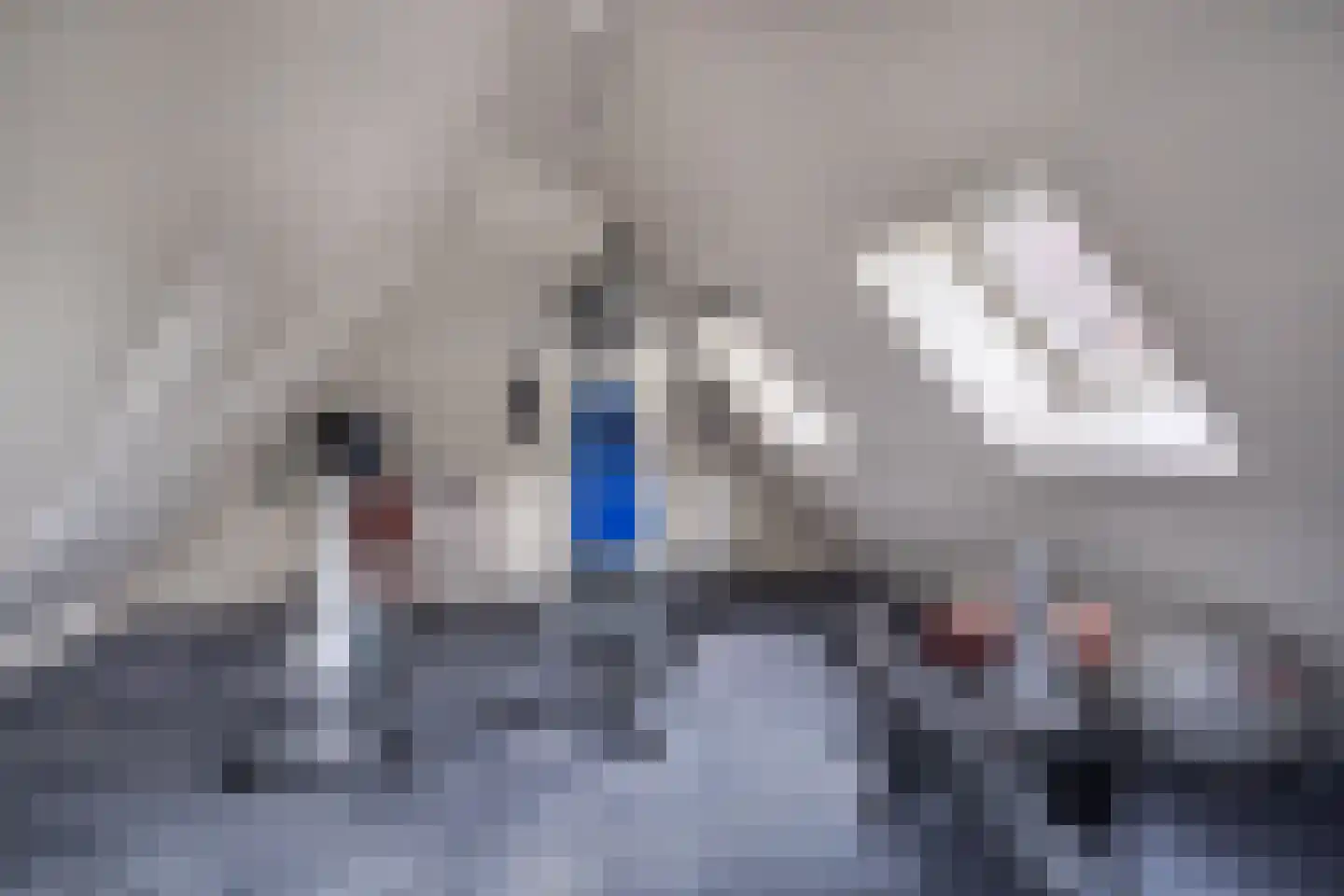 Wilgenpad 2 Den Dungen thumbnail 26