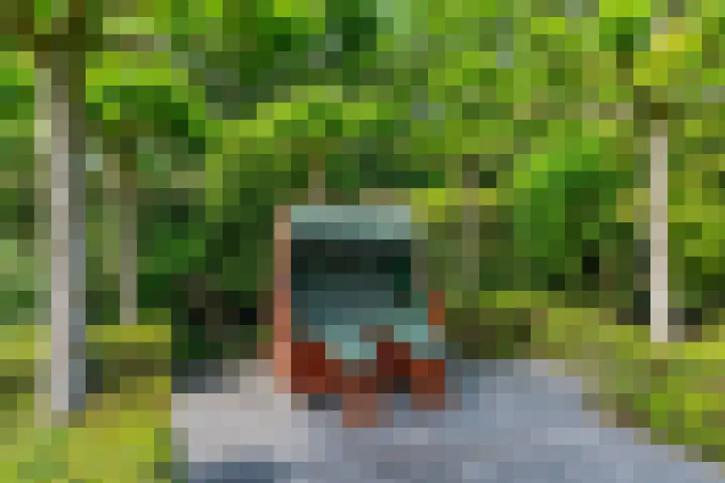Wilgenpad 2 Den Dungen thumbnail 32