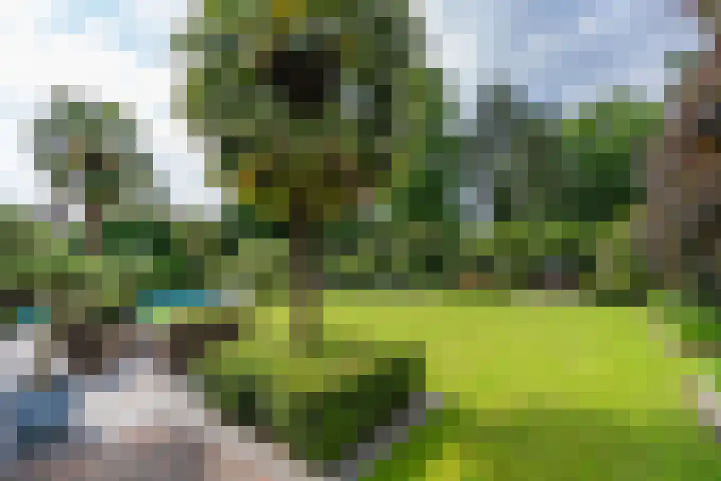 Wilgenpad 2 Den Dungen thumbnail 45