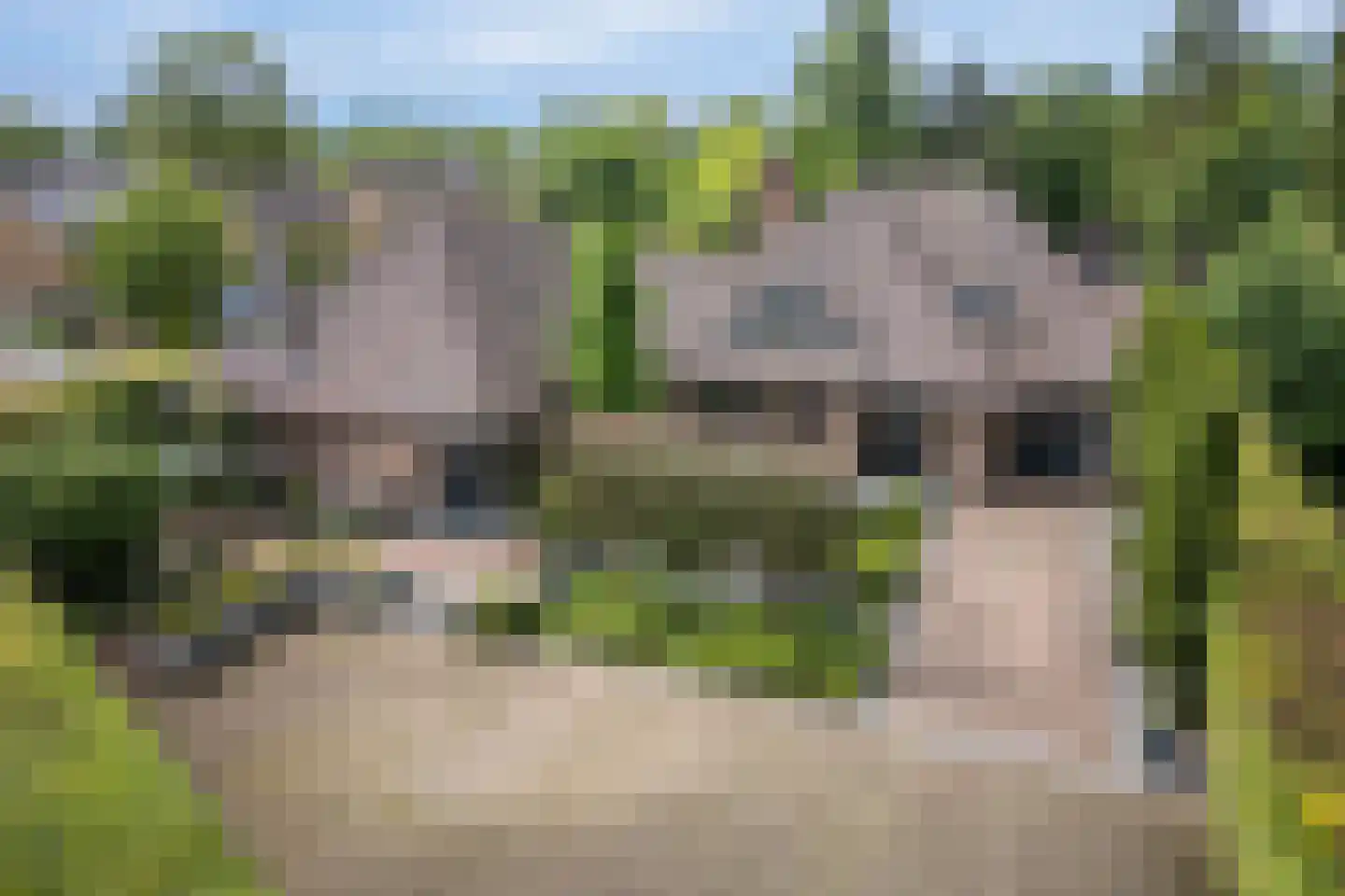 Wilgenpad 2 Den Dungen thumbnail 48