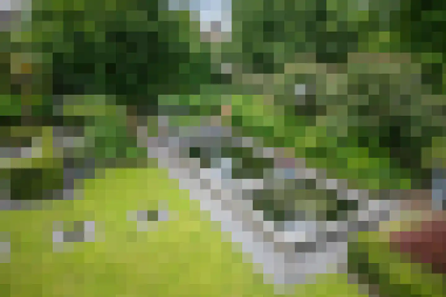 Wilgenpad 2 Den Dungen thumbnail 51