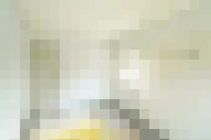 Wilgenpad 2 Nootdorp thumbnail 11