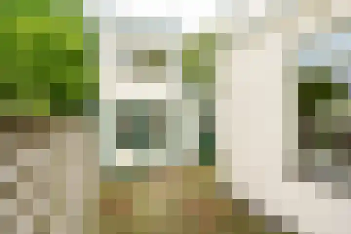 Wilgenpad 2 Nootdorp thumbnail 12