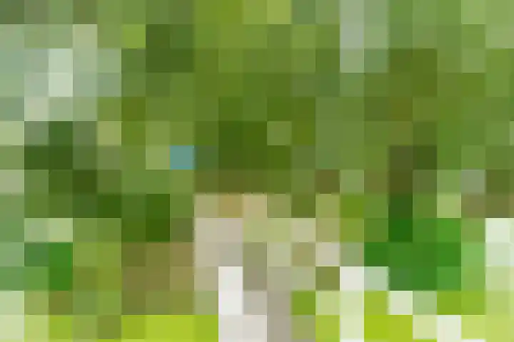 Wilgenpad 2 Nootdorp thumbnail 13
