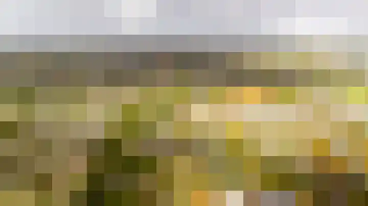 Wilgenpad 2 Nootdorp thumbnail 15
