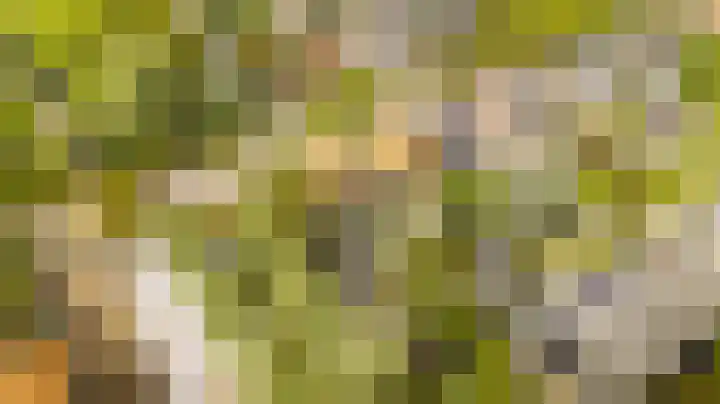 Wilgenpad 2 Nootdorp thumbnail 16