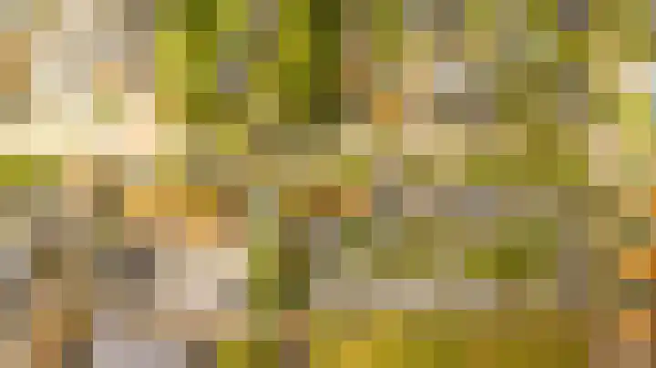 Wilgenpad 2 Nootdorp thumbnail 17