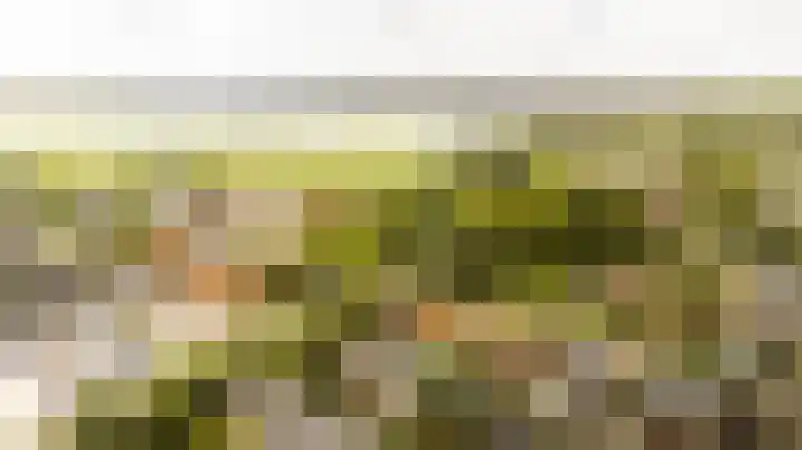 Wilgenpad 2 Nootdorp thumbnail 18