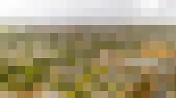 Wilgenpad 2 Nootdorp thumbnail 19