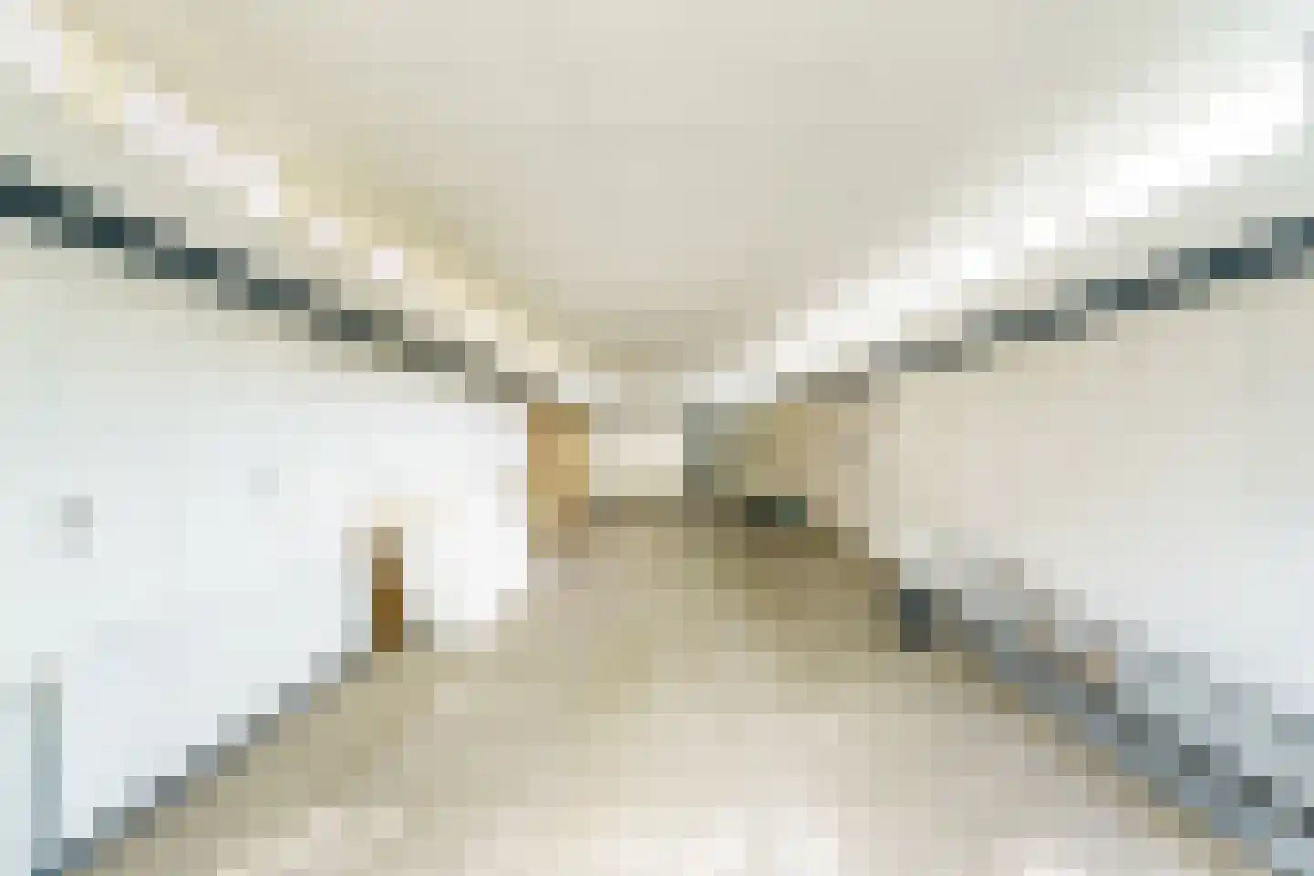 Wilgenpad 2 Nootdorp thumbnail 4
