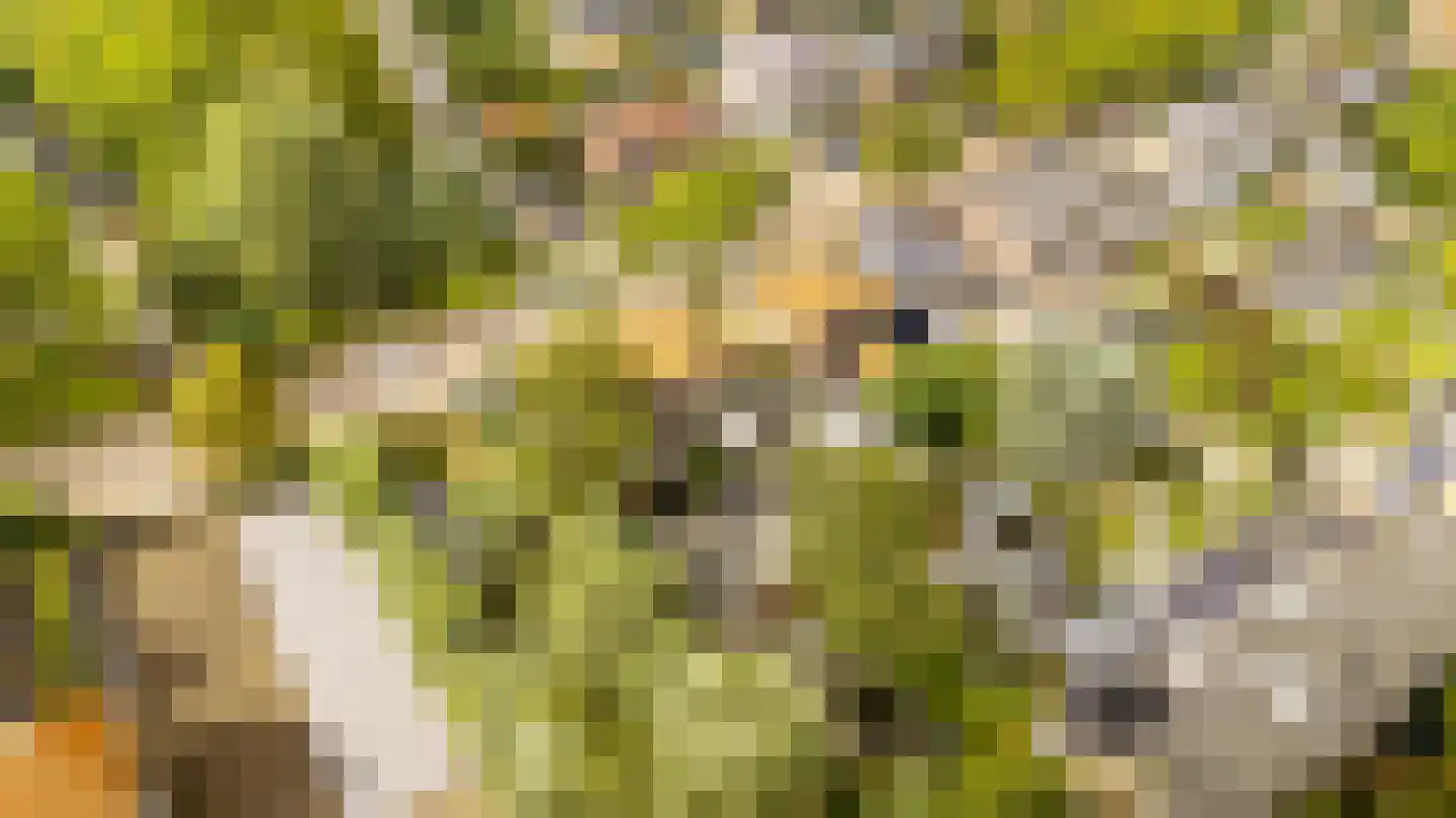 Wilgenpad 2 Nootdorp thumbnail 7