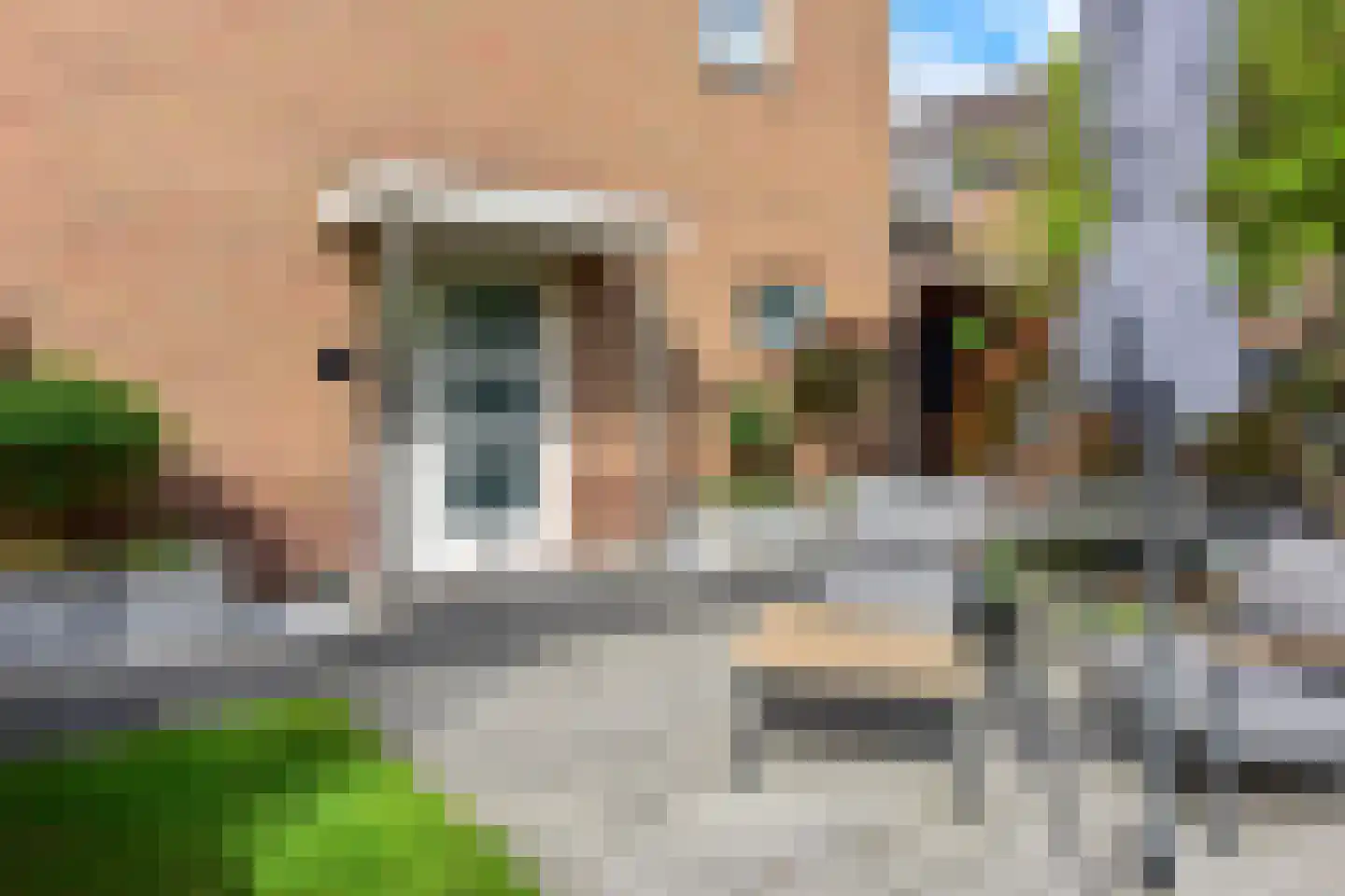 Wilgenpad 5 Ter Aar thumbnail 30