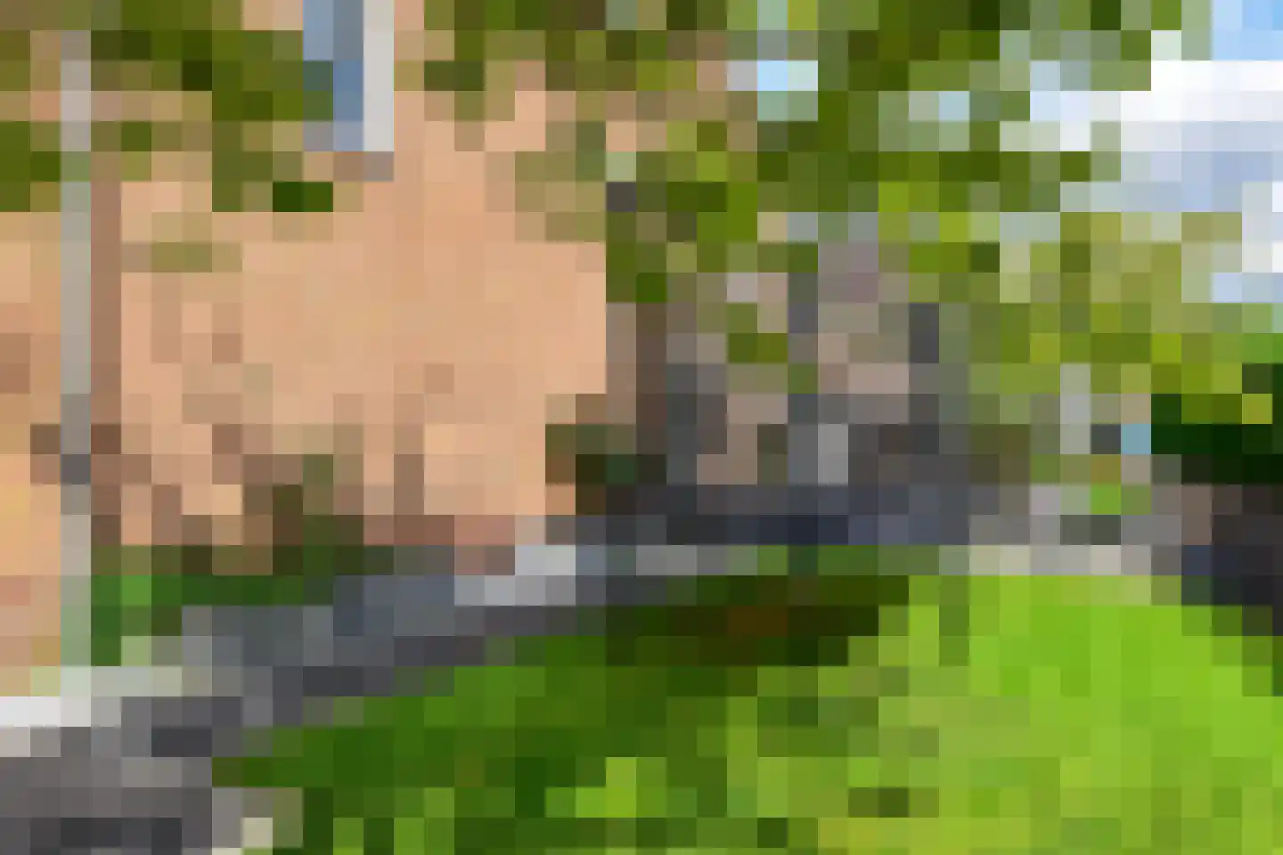 Wilgenpad 5 Ter Aar thumbnail 31