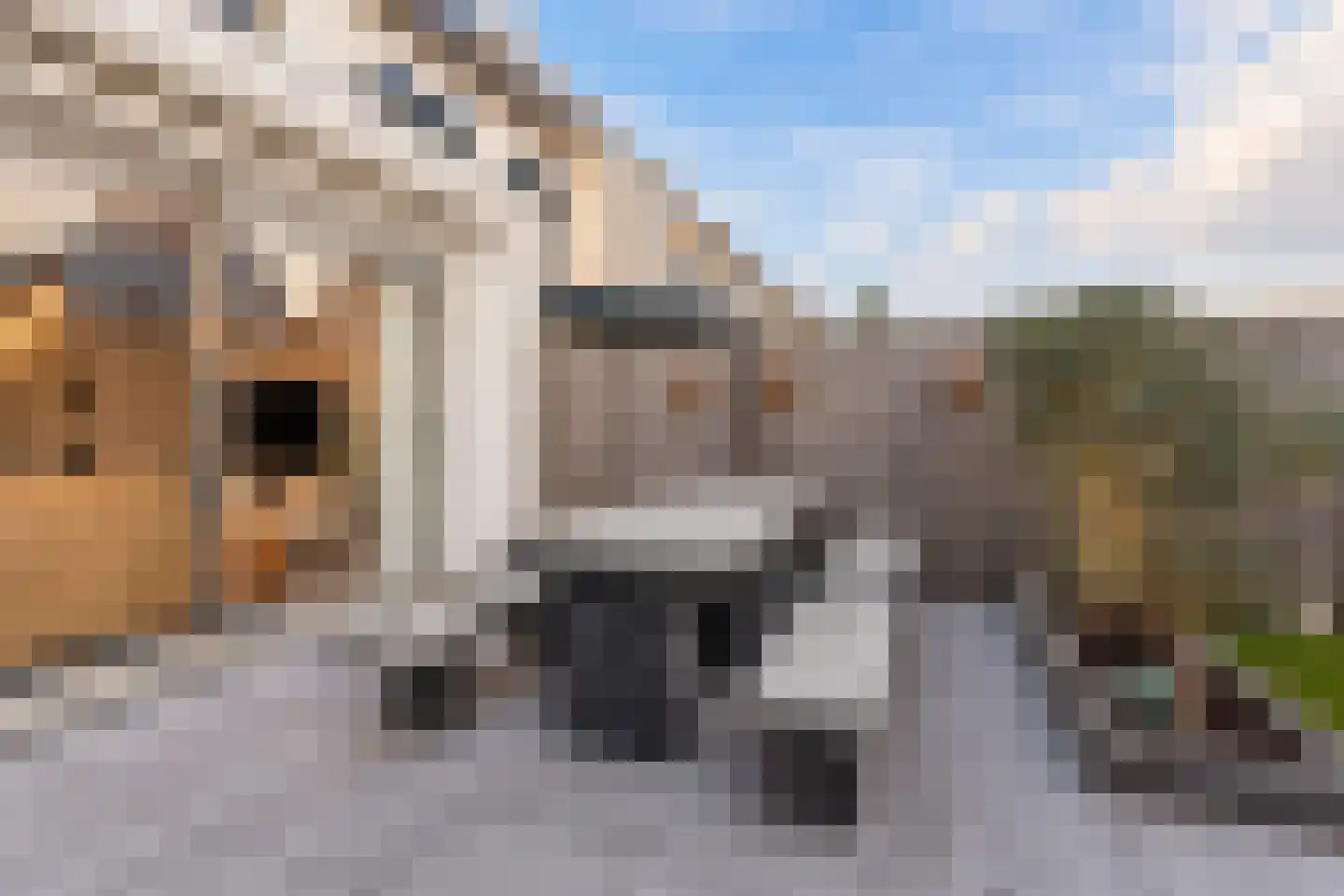 Wilgenpad 8 Ooltgensplaat thumbnail 45
