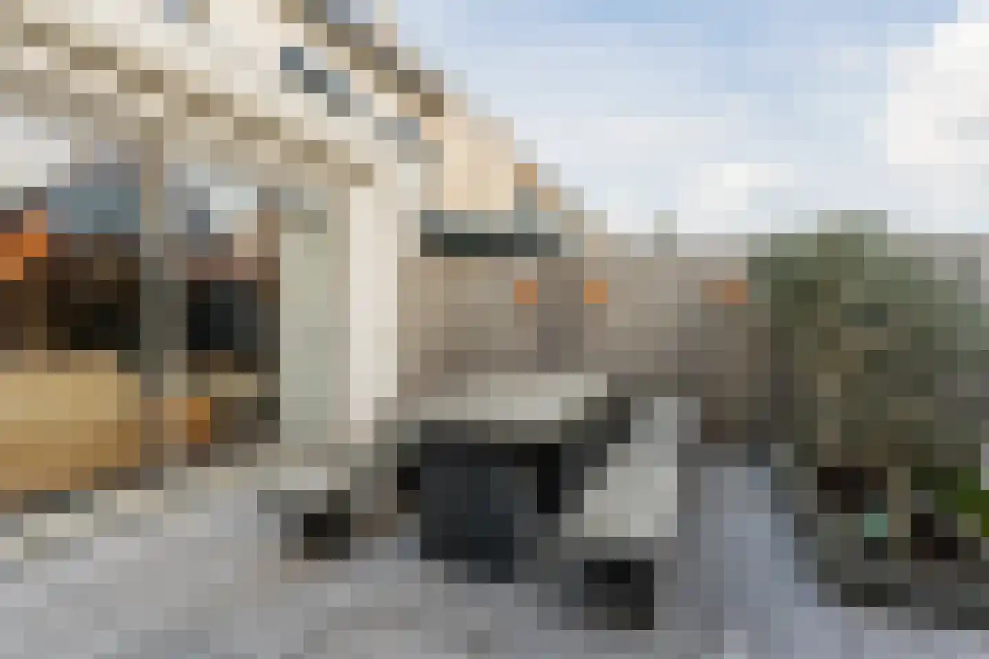 Wilgenpad 8 Ooltgensplaat thumbnail 46
