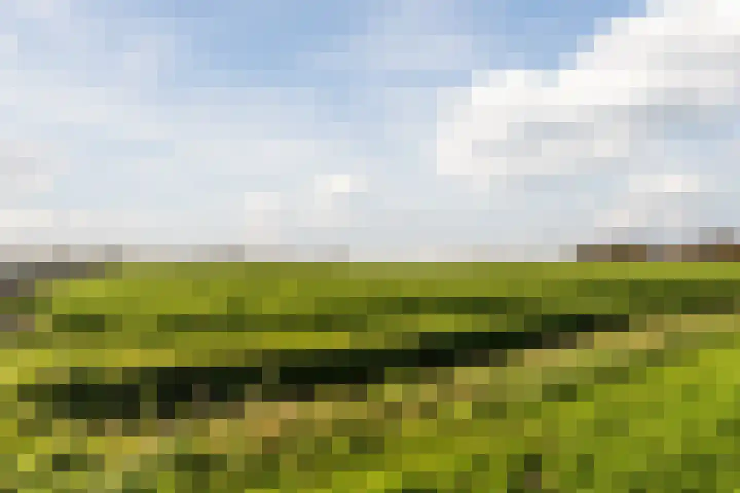 Wilgenpad 8 Ooltgensplaat thumbnail 53