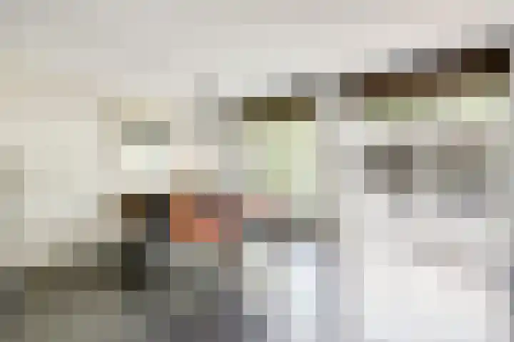 Wilgenpark 2 Leiderdorp thumbnail 14