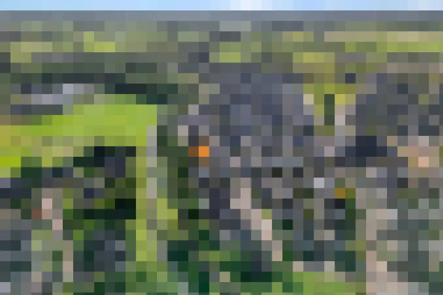 Wilgenpark 2 Leiderdorp thumbnail 33