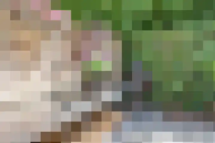 Wilgenpark 2 Leiderdorp thumbnail 35