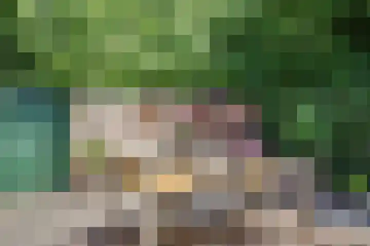 Wilgenpark 2 Leiderdorp thumbnail 36