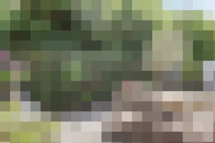 Wilgenpark 2 Leiderdorp thumbnail 37