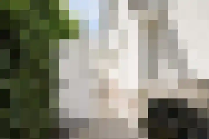 Wilgenpark 2 Leiderdorp thumbnail 39