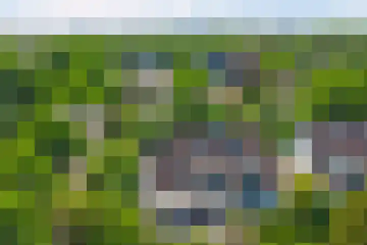 Wilgenpark 2 Leiderdorp thumbnail 44