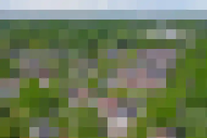 Wilgenpark 2 Leiderdorp thumbnail 47