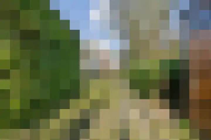 Wilgenpark 2 Leiderdorp thumbnail 6