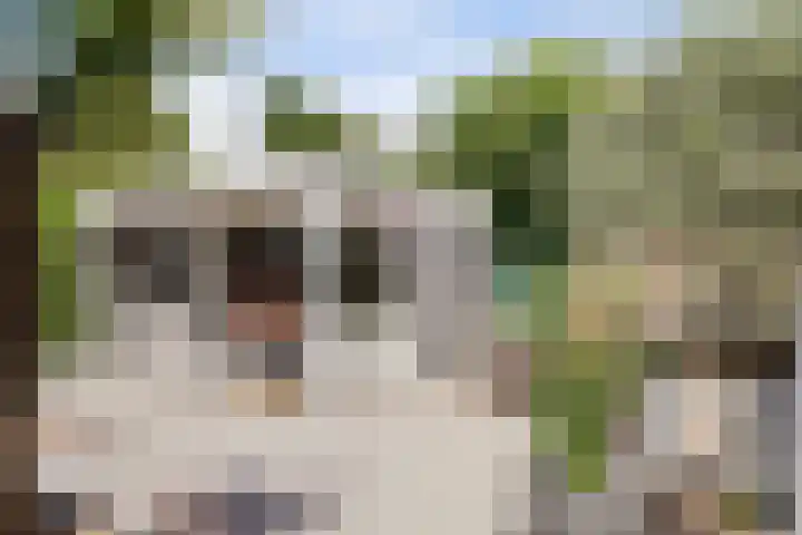 Wilgenpark 2 Leiderdorp thumbnail 6