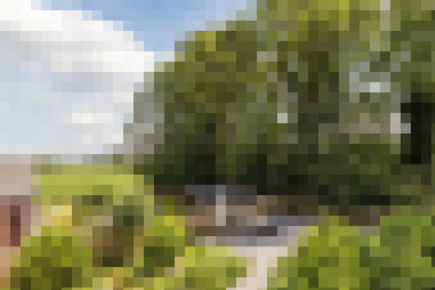 Wilgenplantsoen 18 Waspik thumbnail 18