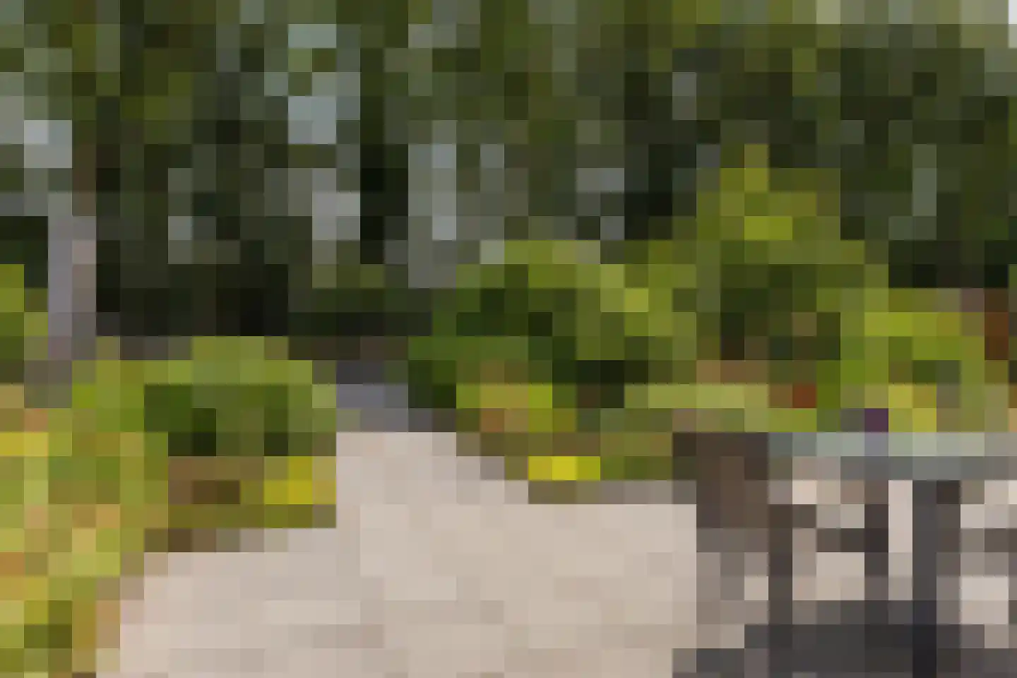 Wilgenplantsoen 18 Waspik thumbnail 20